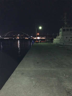 釣りガール  アジング