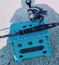 ヘッドハングドチーコシ