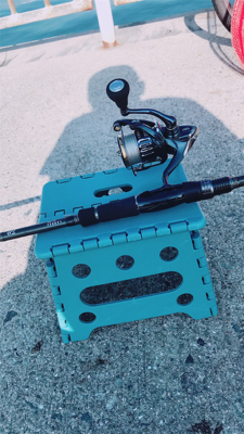 ヘッドハングドチーコシ