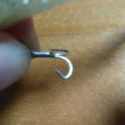 夏シーバス63センチ