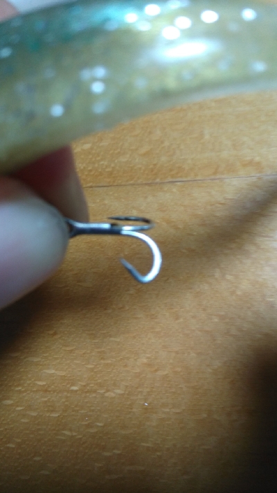 夏シーバス63センチ