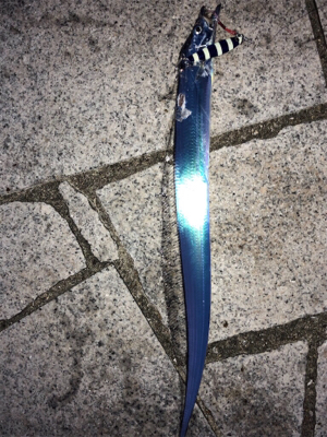 粘ってのサバタチ大漁♪