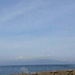 サゴタチちゃいちー