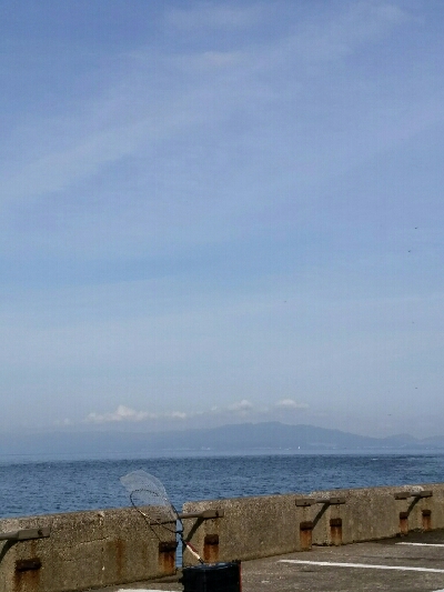 サゴタチちゃいちー