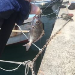 ショアジギからの〜胴付き五目