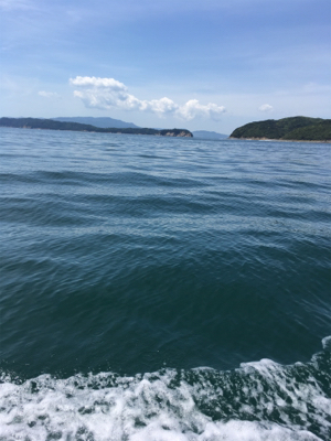 イワシパターン