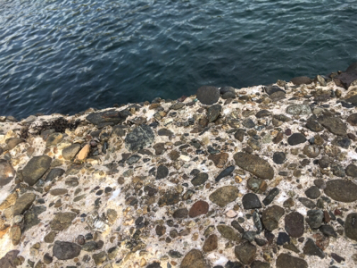 アジングとエギング