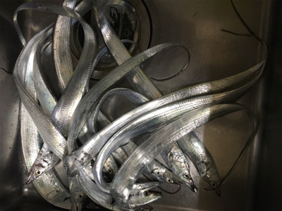 アタリはあるけど