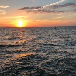 小さいけど、プチ爆発!