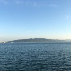 今日の、ケンサキパターン