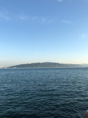 今日の、ケンサキパターン