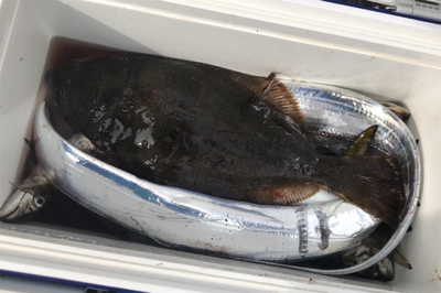 大津にてボート