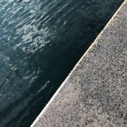 まだまだ小さいです