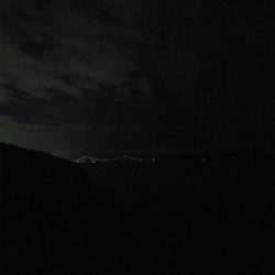 ケンサキエギング