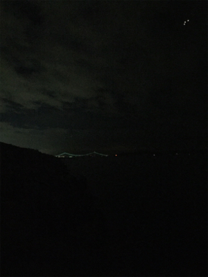 ケンサキエギング