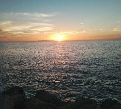 アラバマン撃沈！