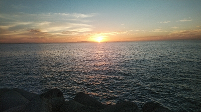 アラバマン撃沈！