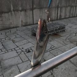 初めての淡路島