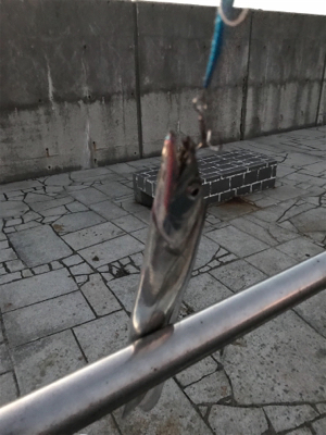 初めての淡路島