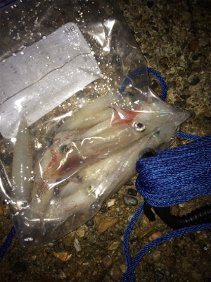 ケンサキイカナイトゲーム☆GUNNING-…