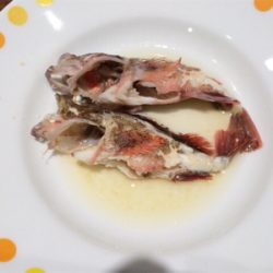 夏イカ釣れたー♪