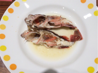 夏イカ釣れたー♪