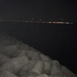 今年初 ワインド