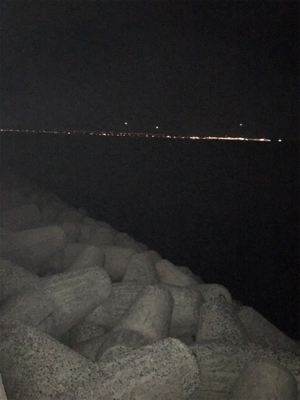 今年初 ワインド