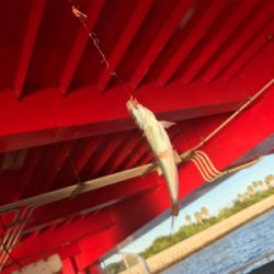 尼崎市魚釣公園