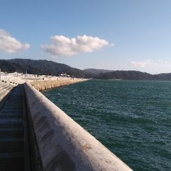 タチウオ渋かったが色々釣れた