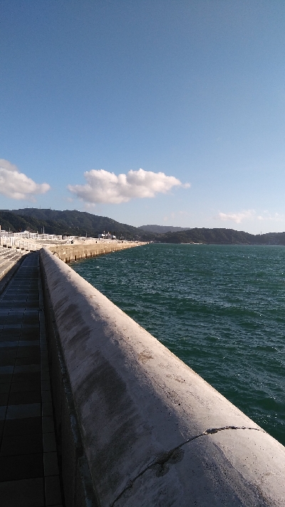 タチウオ渋かったが色々釣れた