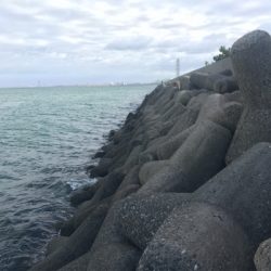 SLSJとULSJとサビキ