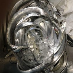 タチウオ入れ食い