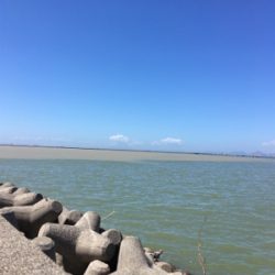 台風明けのムコイチ