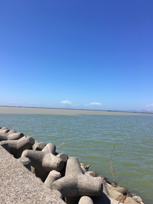台風明けのムコイチ