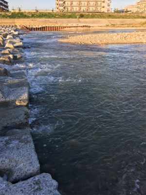 夕方ナマズ釣り