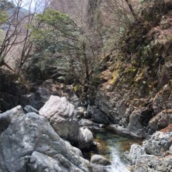 揖保川渓流釣り