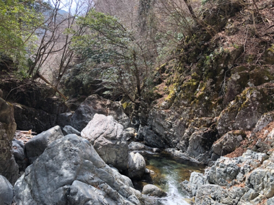 揖保川渓流釣り