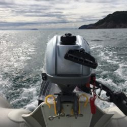 弟とマイボート釣行