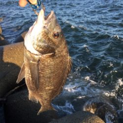 白波と濁りは最高！