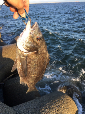 白波と濁りは最高！