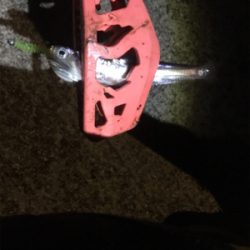 ランガン…ランラン?アジング