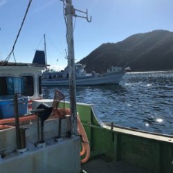 孝洋丸で落とし込み