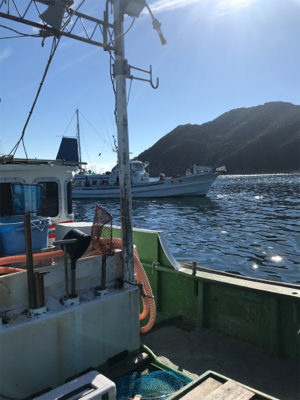 孝洋丸で落とし込み