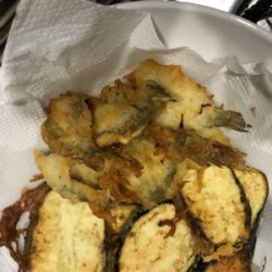 須賀港でハゼ釣り