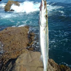 ライトショアジギングになってもた(泣)