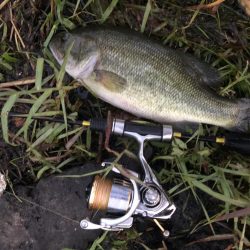 久しぶりの河口湖を満喫!!