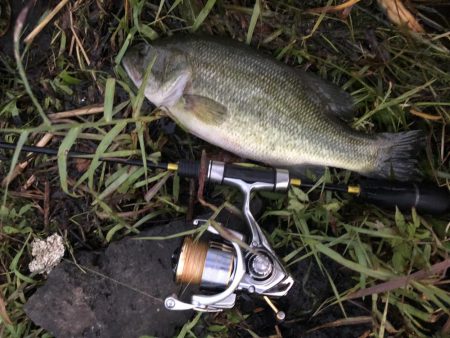 久しぶりの河口湖を満喫!!