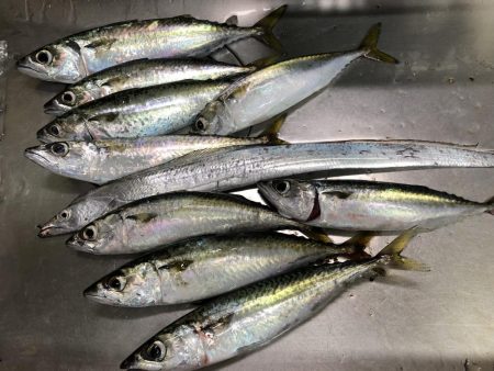 サバゲーおもろ。