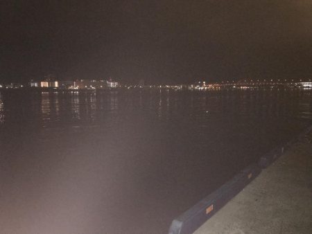 今季、初のタチウオゲット！